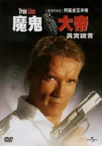 Poster to the movie "True Lies" #657644