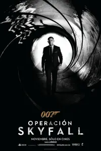 Poster to the movie "Skyfall" #725134