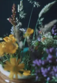 Poster to the movie "Glimpses from a Visit to Orkney in Summer 1995" #1183935