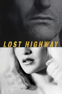 Poster to the movie "Lost Highway" #907483
