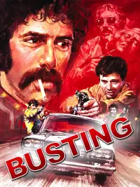 Poster to the movie "Busting" #969809