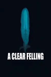 Poster to the movie "A Clear Felling" #1038137