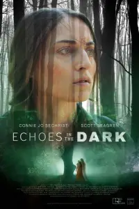 Poster to the movie "Echoes in the Dark" #895066