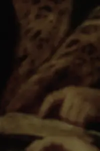 Poster to the movie "Lord" #582012