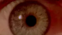 Backdrop to the movie "2001: A Space Odyssey" #739976