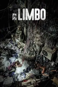 Poster to the movie "Limbo" #1174683
