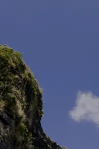 Poster to the movie "Pyohaerok" #793077