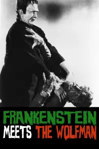 Poster to the movie "Frankenstein Meets the Wolf Man" #974989