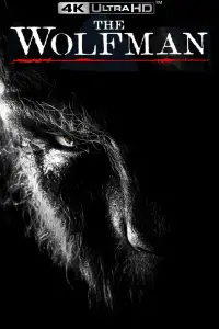 Poster to the movie "The Wolfman" #941576