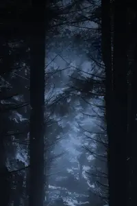 Poster to the movie "The Project" #1102368