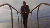 Backdrop to the movie "Jaws" #520955
