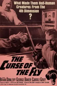 Poster to the movie "Curse of the Fly" #973226