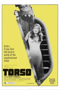 Poster to the movie "Torso" #956440
