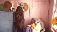 Backdrop to the movie "Grey Gardens" #811292