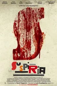Poster to the movie "Suspiria" #671065