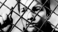 Backdrop to the movie "The 400 Blows" #712565
