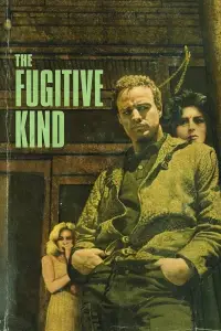 Poster to the movie "The Fugitive Kind" #1141790