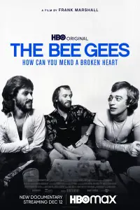 Poster to the movie "The Bee Gees: How Can You Mend a Broken Heart" #988982