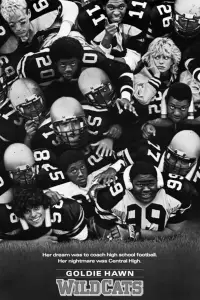 Poster to the movie "Wildcats" #1035472