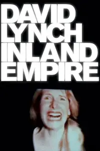 Poster to the movie "Inland Empire" #713701