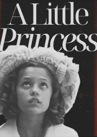 Poster to the movie "A Little Princess" #1027066