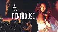 Backdrop to the movie "The Penthouse" #1170743