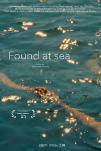 Poster to the movie "Found at sea" #1149588