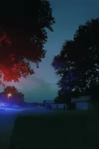 Poster to the movie "The Perfect Neighbor" #1004338