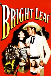 Poster to the movie "Bright Leaf" #965651