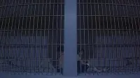 Backdrop to the movie "Cowboy Bebop: The Movie" #673511
