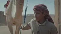 Backdrop to the movie "Hajjan" #558973