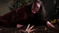 Backdrop to the movie "The Brides of Dracula" #772736