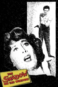 Poster to the movie "The Shadow on the Window" #991996