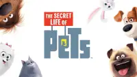 Backdrop to the movie "The Secret Life of Pets" #1021409