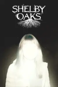 Poster to the movie "Shelby Oaks" #522843
