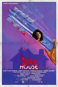 Poster to the movie "Open House" #1176735