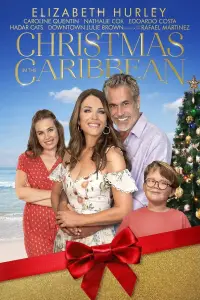 Poster to the movie "Christmas in the Caribbean" #967291