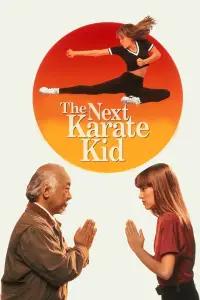 Poster to the movie "The Next Karate Kid" #934325