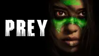 Backdrop to the movie "Prey" #924420