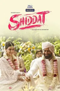 Poster to the movie "Shiddat" #782027