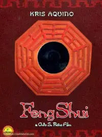 Poster to the movie "Feng Shui" #1086534