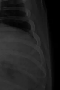 Poster to the movie "CIRUGÍA." #657988