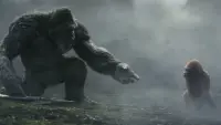 Backdrop to the movie "Godzilla x Kong: The New Empire" #739329