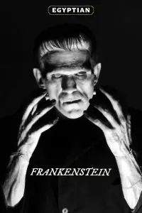 Poster to the movie "Frankenstein" #983308