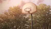 Backdrop to the movie "The First Slam Dunk" #771062