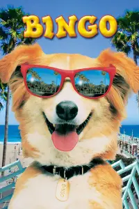 Poster to the movie "Bingo" #1088600