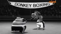 Backdrop to the movie "Raging Bull" #871408