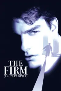 Poster to the movie "The Firm" #658565
