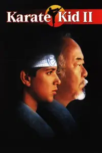 Poster to the movie "The Karate Kid Part II" #670648