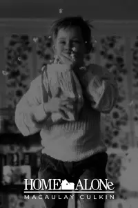 Poster to the movie "Home Alone" #742926